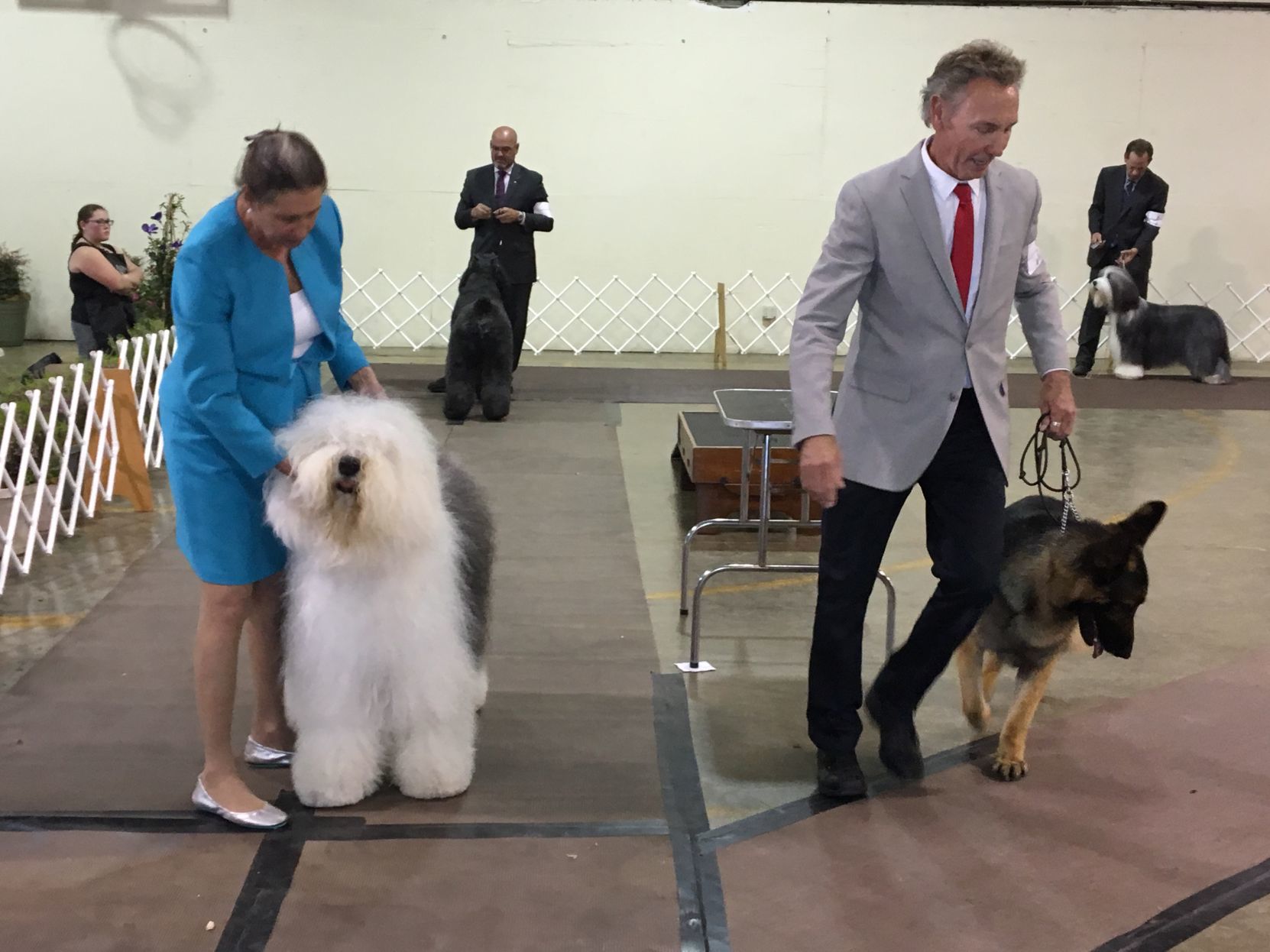 Dog Show - Duo